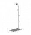 vidaXL Garden Shower with Grey Base 220 cm Aluminium