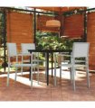 vidaXL 5 Piece Garden Dining Set White