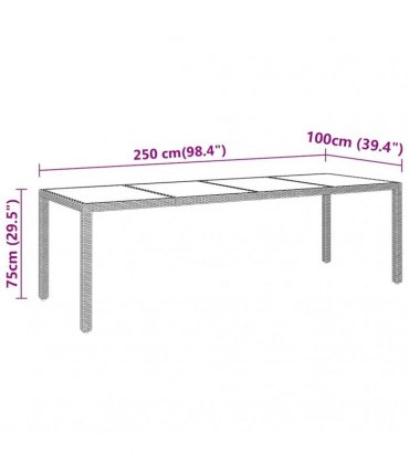 vidaXL Garden Table 250x100x75 cm Tempered Glass and Poly Rattan Grey