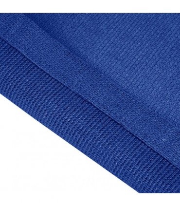 vidaXL Tent Carpet 200x300 cm Blue HDPE