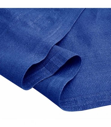 vidaXL Tent Carpet 200x300 cm Blue HDPE