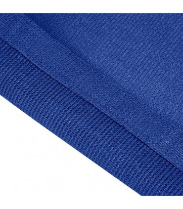 vidaXL Tent Carpet 250x450 cm Blue