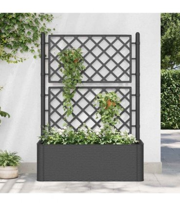 vidaXL Garden Raised Bed with Trellis&Self Watering System Anthracite