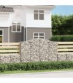 vidaXL Arched Gabion Baskets 10 pcs 200x50x140/160 cm Galvanised Iron