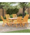 vidaXL Garden Chair 6 pcs Brown Solid Acacia Wood
