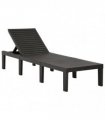 vidaXL Sun Lounger Plastic Anthracite