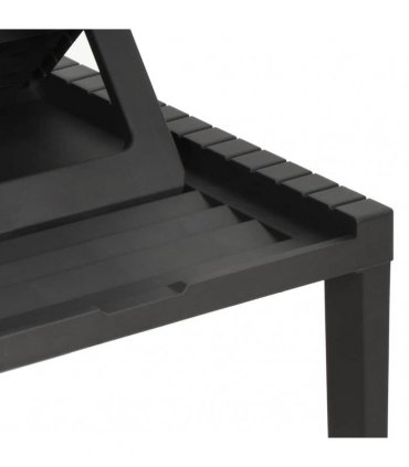 vidaXL Sun Lounger Plastic Anthracite