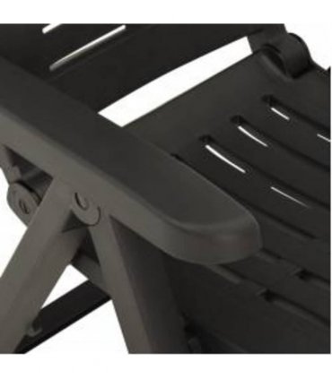 vidaXL Reclining Folding Chairs 2 pcs Plastic Anthracite