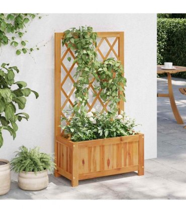 vidaXL Garden Raised Bed with Trellis Solid Acacia Wood