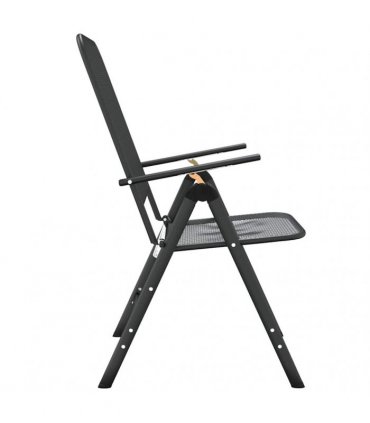 vidaXL Folding Chairs 2 pcs Expanded Metal Mesh Anthracite