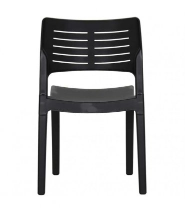 vidaXL Garden Chairs 2 pcs Anthracite Polypropylene