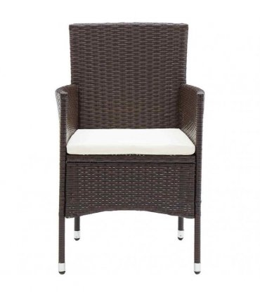 vidaXL Garden Dining Chairs 2 pcs Poly Rattan Brown
