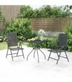 vidaXL 3 Piece Garden Dining Set Anthracite Steel