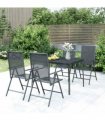 vidaXL 5 Piece Garden Dining Set Anthracite Steel