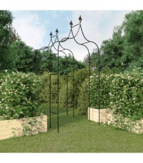 vidaXL Garden Arches 2 pcs Black 120x38x260 cm Steel