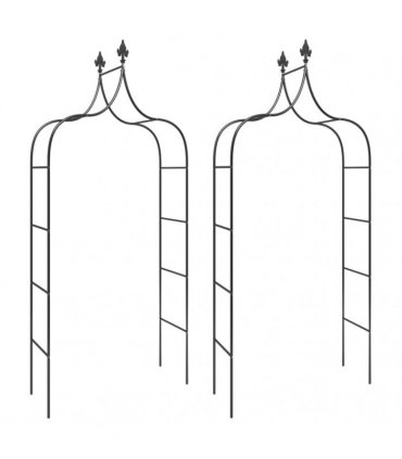 vidaXL Garden Arches 2 pcs Black 120x38x260 cm Steel