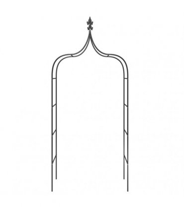 vidaXL Garden Arches 2 pcs Black 120x38x260 cm Steel