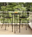 vidaXL Bar Stools 2 pcs Black 45x56x103,5 cm PE Rattan and Steel