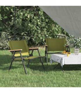 vidaXL Camping Chairs 2 pcs Green 54x43x59 cm Oxford Fabric