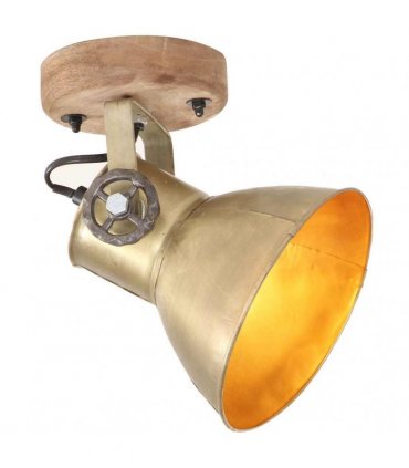 vidaXL Industrial Wall/Ceiling Lamps 2 pcs Brass 20x25 cm E27