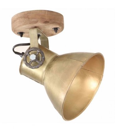 vidaXL Industrial Wall/Ceiling Lamps 2 pcs Brass 20x25 cm E27