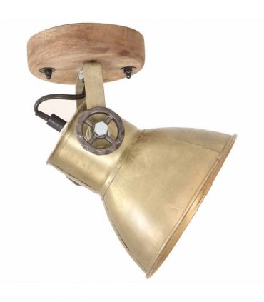 vidaXL Industrial Wall/Ceiling Lamps 2 pcs Brass 20x25 cm E27