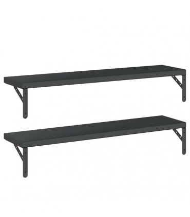 vidaXL Wall Shelves 2 pcs 100x23,5 cm Black Stainless Steel