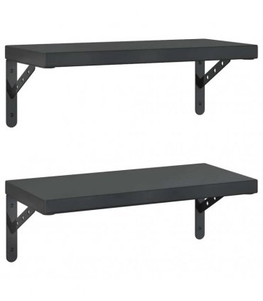 vidaXL Wall Shelves 2 pcs 50x23,5 cm Black Stainless Steel