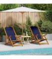 vidaXL Beach Chair 2 pcs Brown Solid Acacia Wood