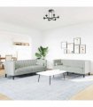 vidaXL Living Room Couch 2 pcs Light Grey Velvet