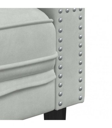 vidaXL Living Room Couch 2 pcs Light Grey Velvet
