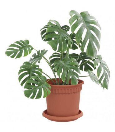 vidaXL Plant Pots 6 pcs Brick Red Plastic