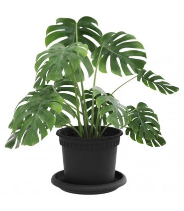 vidaXL Plant Pots 6 pcs Black Plastic