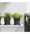 vidaXL Plant Pots 6 pcs Black Plastic