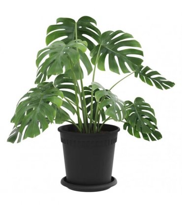 vidaXL Plant Pots 24 pcs Black Plastic