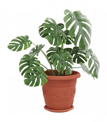 vidaXL Plant Pots 6 pcs Brick Red Ø 34 x 28 cm Plastic