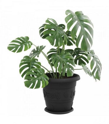 vidaXL Plant Pots 6 pcs Black Ø 39 x 32 cm Plastic