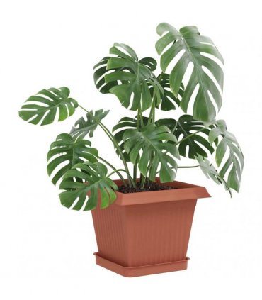 vidaXL Plant Pots 6 pcs Brick Red Plastic