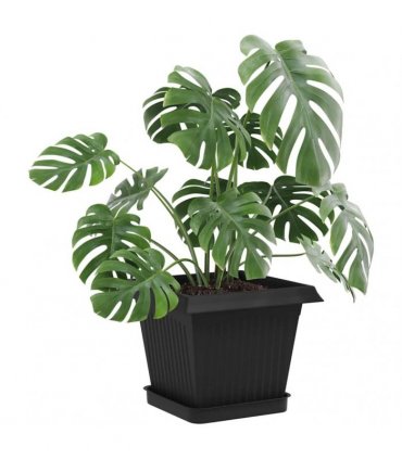 vidaXL Plant Pots 24 pcs Black Plastic