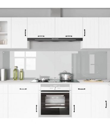 vidaXL Kitchen Backsplash 2 pcs Transparent 110 x 60 cm Tempered Glass