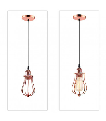 Ceiling Rose Balloon Cage Pendant Lamp Holder Light Fitting Kit Metal + PVC Rose