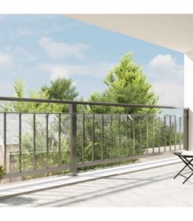 vidaXL Plant Cover 1 x 12 m PVC Transparent
