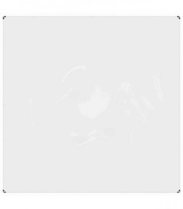 vidaXL Plant Cover 2 x 2 m PVC Transparent