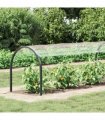vidaXL Plant Cover 1.5 x 20 m PVC Transparent